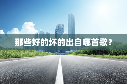 那些好的坏的出自哪首歌？