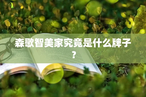 森歌智美家究竟是什么牌子？