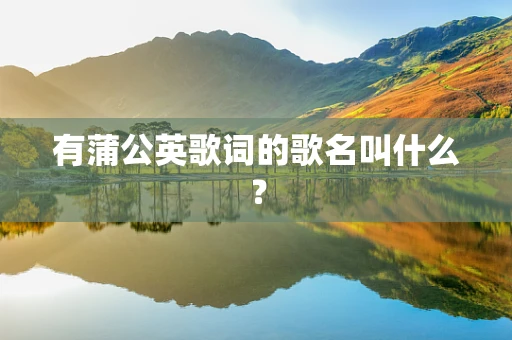 有蒲公英歌词的歌名叫什么？