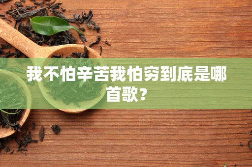 我不怕辛苦我怕穷到底是哪首歌？