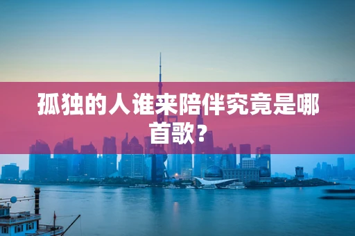 孤独的人谁来陪伴究竟是哪首歌？