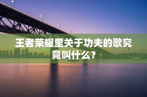 王者荣耀里关于功夫的歌究竟叫什么？