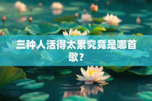 三种人活得太累究竟是哪首歌？