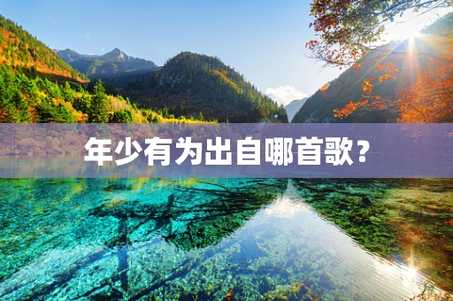 年少有为出自哪首歌？