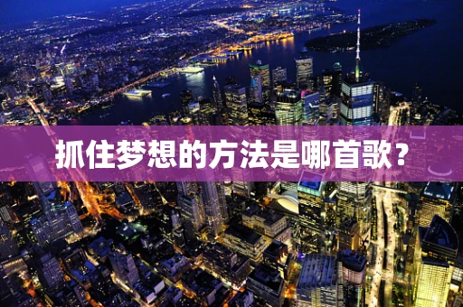 抓住梦想的方法是哪首歌？