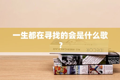 一生都在寻找的会是什么歌？