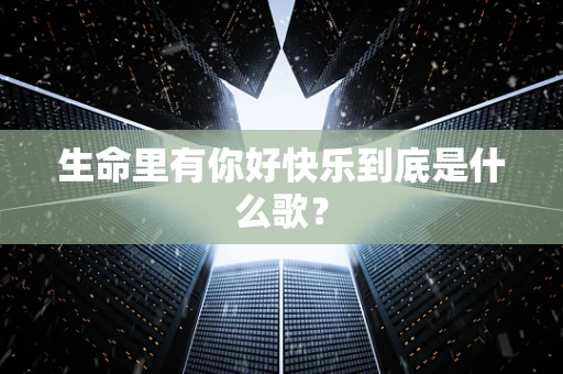生命里有你好快乐到底是什么歌？