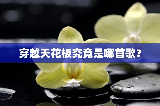 穿越天花板究竟是哪首歌？