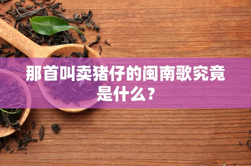 那首叫卖猪仔的闽南歌究竟是什么？