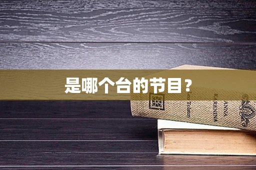 是哪个台的节目？
