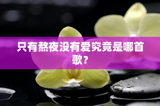 只有熬夜没有爱究竟是哪首歌？