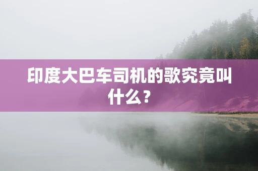 印度大巴车司机的歌究竟叫什么？