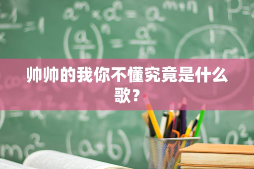 帅帅的我你不懂究竟是什么歌？