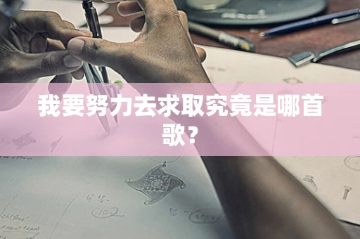 我要努力去求取究竟是哪首歌？