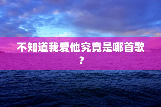 不知道我爱他究竟是哪首歌？