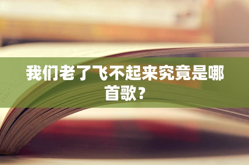 我们老了飞不起来究竟是哪首歌？