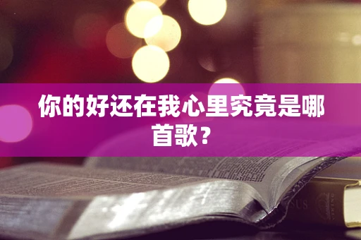 你的好还在我心里究竟是哪首歌？