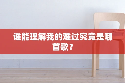 谁能理解我的难过究竟是哪首歌？