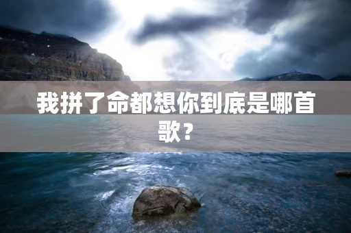 我拼了命都想你到底是哪首歌？
