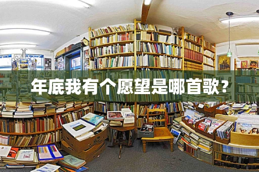 年底我有个愿望是哪首歌？