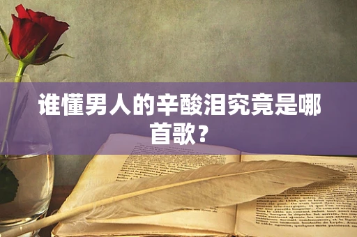 谁懂男人的辛酸泪究竟是哪首歌？