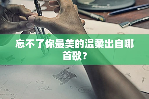 忘不了你最美的温柔出自哪首歌？