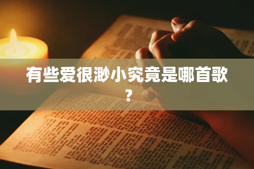 有些爱很渺小究竟是哪首歌？