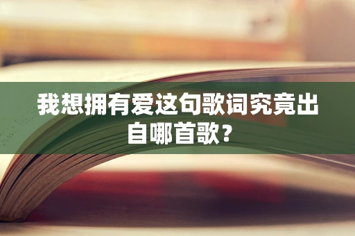 我想拥有爱这句歌词究竟出自哪首歌？