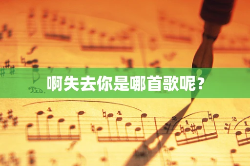 啊失去你是哪首歌呢？