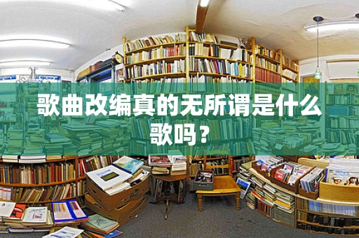 歌曲改编真的无所谓是什么歌吗？
