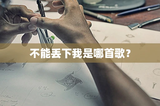 不能丢下我是哪首歌？