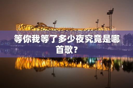 等你我等了多少夜究竟是哪首歌？