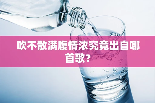 吹不散满腹情浓究竟出自哪首歌？