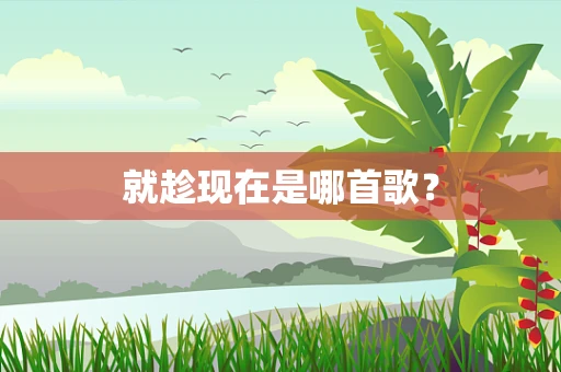 就趁现在是哪首歌？