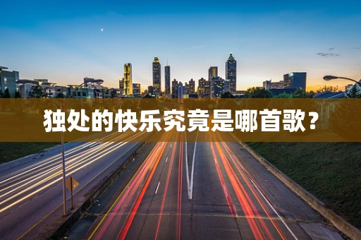 独处的快乐究竟是哪首歌？