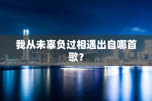 我从未辜负过相遇出自哪首歌？