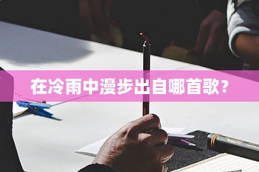 在冷雨中漫步出自哪首歌？