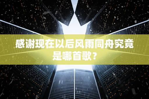 感谢现在以后风雨同舟究竟是哪首歌？