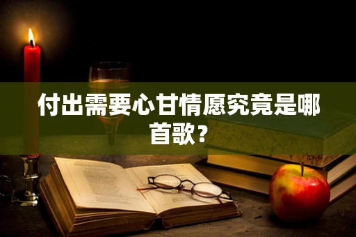 付出需要心甘情愿究竟是哪首歌？