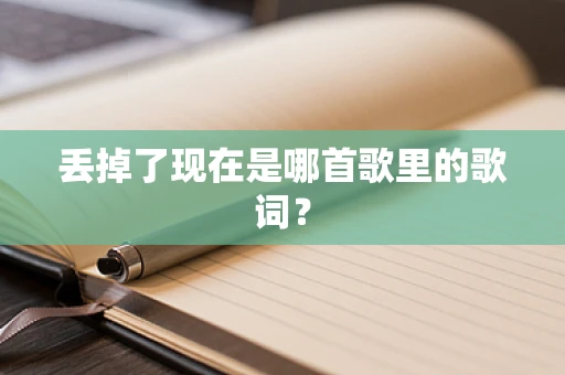 丢掉了现在是哪首歌里的歌词？