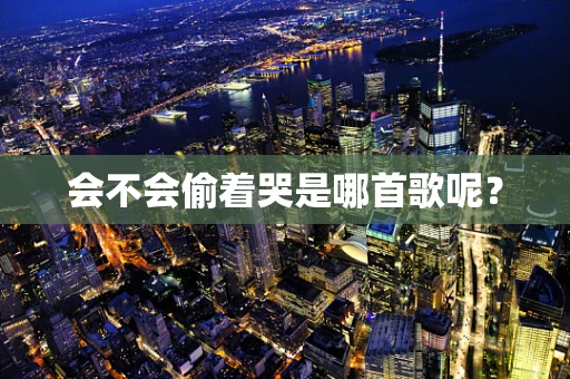 会不会偷着哭是哪首歌呢？