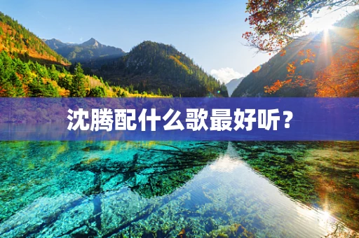 沈腾配什么歌最好听？