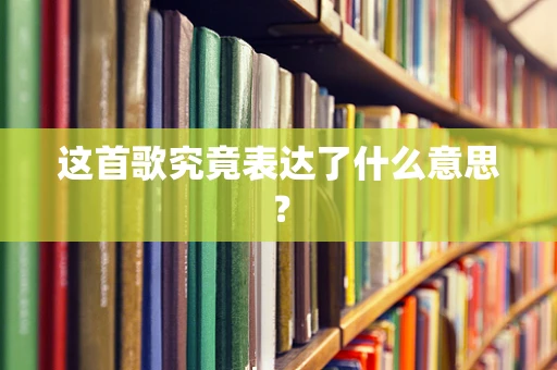 这首歌究竟表达了什么意思？