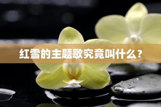 红雪的主题歌究竟叫什么？