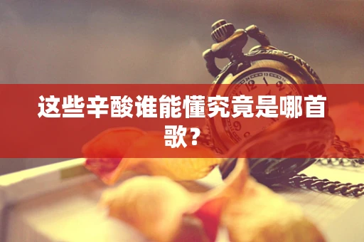 这些辛酸谁能懂究竟是哪首歌？