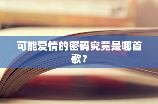 可能爱情的密码究竟是哪首歌？