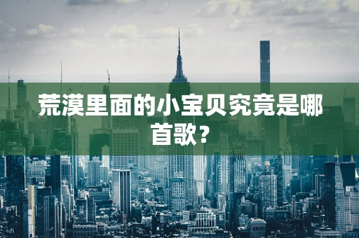 荒漠里面的小宝贝究竟是哪首歌？