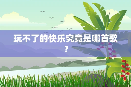 玩不了的快乐究竟是哪首歌？