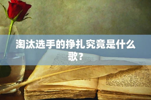淘汰选手的挣扎究竟是什么歌？