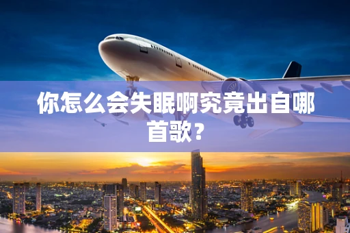 你怎么会失眠啊究竟出自哪首歌？